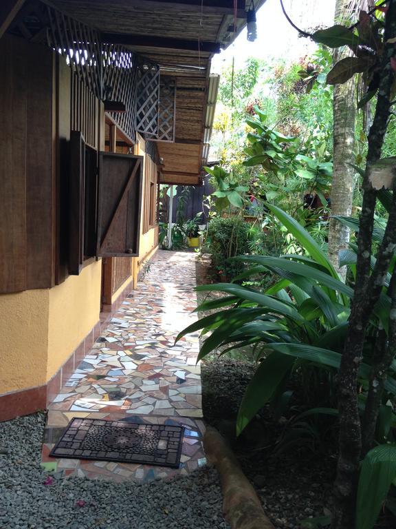 La Casa De Rolando Villa Puerto Viejo de Talamanca Exterior photo